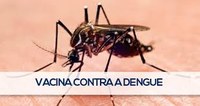 Brasil recebe 500 mil doses de vacina contra a dengue.