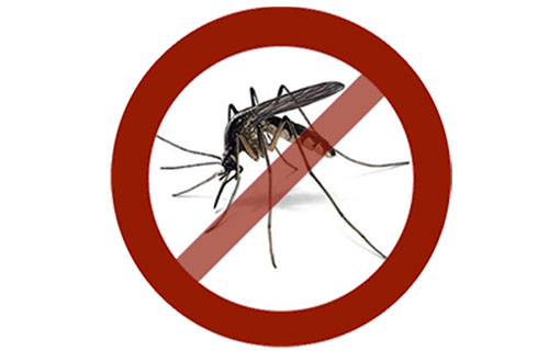 Brasil registra mais de 200 casos de dengue por hora.