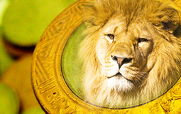  Declaração do IR de pessoa física deverá ser entregue de 1.º de março a 29 de abril.