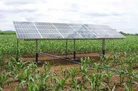 Energia solar e agricultura irrigada podem ser saídas para a seca no Nordeste.