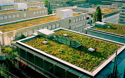 Projeto inclui no Estatuto da Cidade obrigação de telhado verde em edifícios.