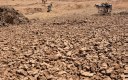 Seca fez Nordeste brasileiro perder 50% de sua produção nos últimos cinco anos, afirma FAO.