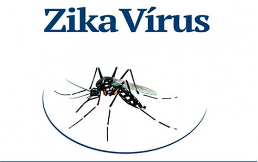 Surto de zika no Brasil completa um ano: uma doença obscura virou uma emergência de saúde global.