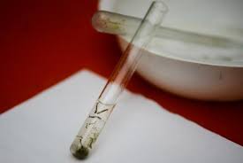 Zika: Cientistas brasileiros descobrem novo distúrbio.